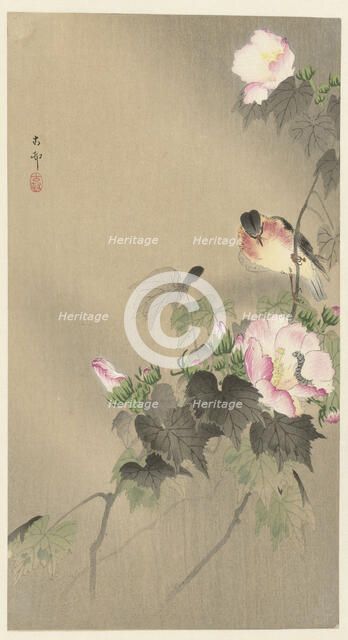 Bird and caterpillar, 1920-1930. Creator: Ohara, Koson (1877-1945).