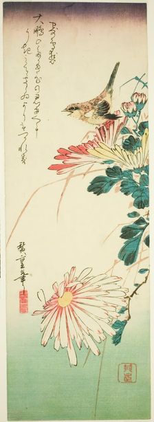 Bird and chrysanthemums, 1830s. Creator: Ando Hiroshige