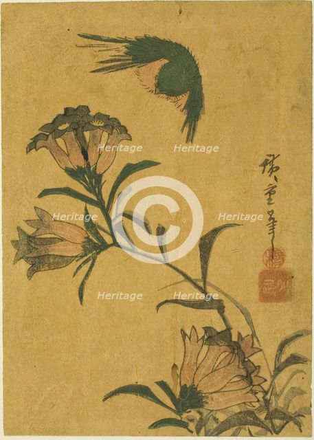 Bird and gentian, c. 1830s. Creator: Ando Hiroshige.