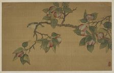 Bird and Fruit, Qing dynasty, 1741. Creator: Wu Zhang
