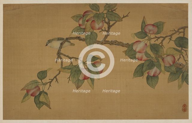 Bird and Fruit, Qing dynasty, 1741. Creator: Wu Zhang.