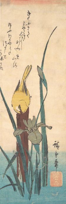 Bird and Iris. Creator: Ando Hiroshige
