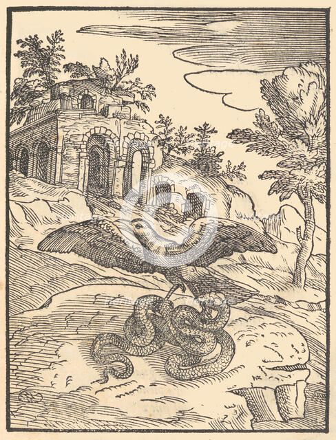 Bird and snake, 1570. Creator: Giovanni Maria Verdizotti.