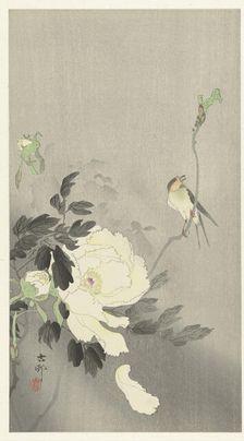 Bird and peony, 1920-1930. Creator: Ohara, Koson (1877-1945)