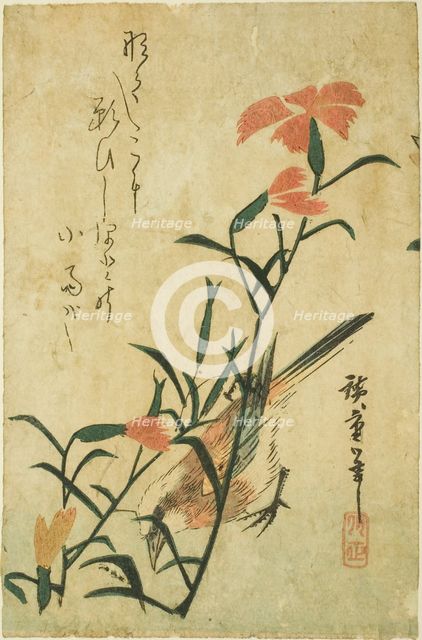 Bird and wild carnation, c. 1830s. Creator: Ando Hiroshige.