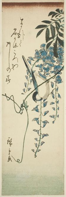 Bird and wisteria, n.d. Creator: Ando Hiroshige