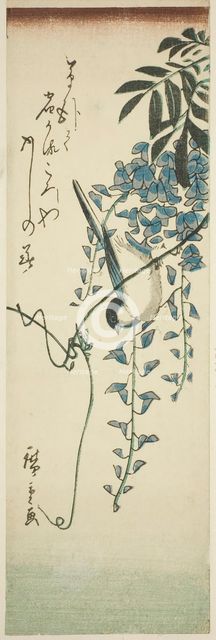 Bird and wisteria, n.d. Creator: Ando Hiroshige.