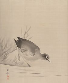 Bird at the Water's Edge, 1887-92. Creator: Gyokusho Kawabata