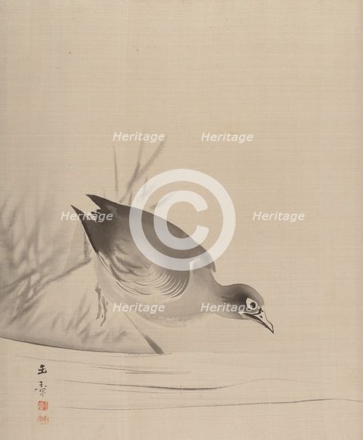 Bird at the Water's Edge, 1887-92. Creator: Gyokusho Kawabata.