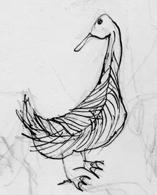 Bird, c1950. Creator: Shirley Markham