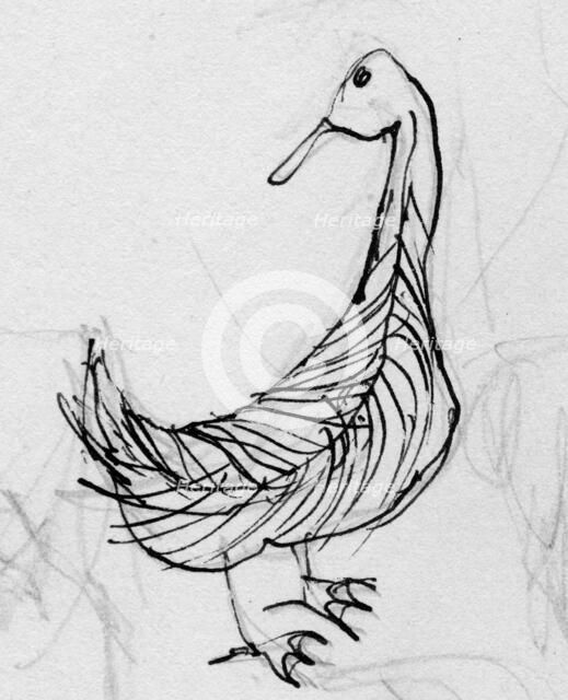 Bird, c1950. Creator: Shirley Markham.