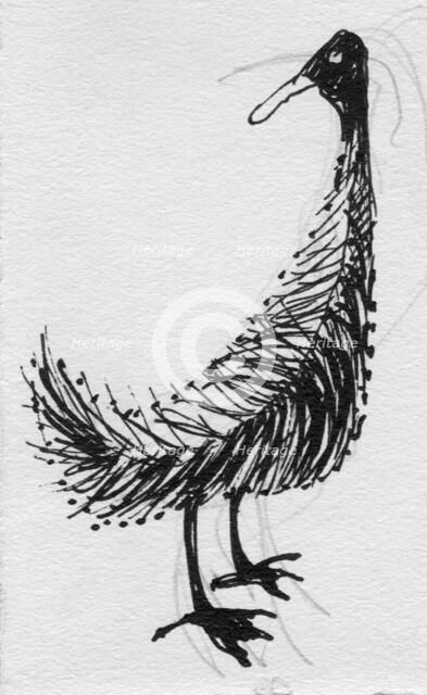 Bird, c1950. Creator: Shirley Markham.