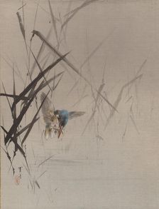 Bird Catching Fish Among Reeds, ca. 1887. Creator: Watanabe Seitei