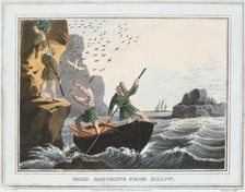 Bird Catching from Below Shetland Islands, 1813
