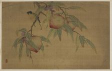 Bird, Fruit, and Flowers, Qing dynasty, 1741. Creator: Wu Zhang