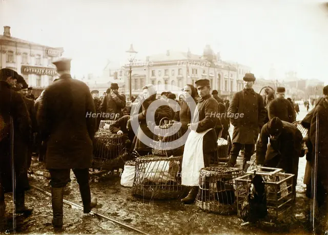 Bird market, Trubnaya Square, Moscow, Russia, 1908. Artist: Unknown
