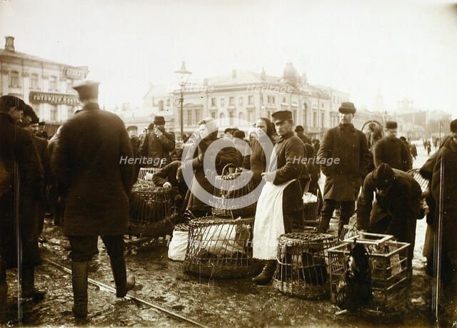 Bird market, Trubnaya Square, Moscow, Russia, 1908. Artist: Unknown