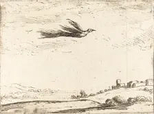 Bird of Paradise. Creator: Jacques Callot