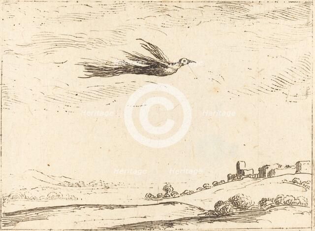 Bird of Paradise. Creator: Jacques Callot.