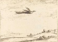 Bird of Paradise. Creator: Jacques Callot