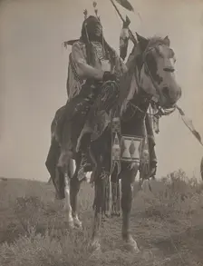 Bird On the Ground, 1908. Creator: Edward Sheriff Curtis