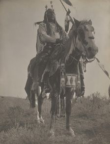 Bird On the Ground, 1908. Creator: Edward Sheriff Curtis