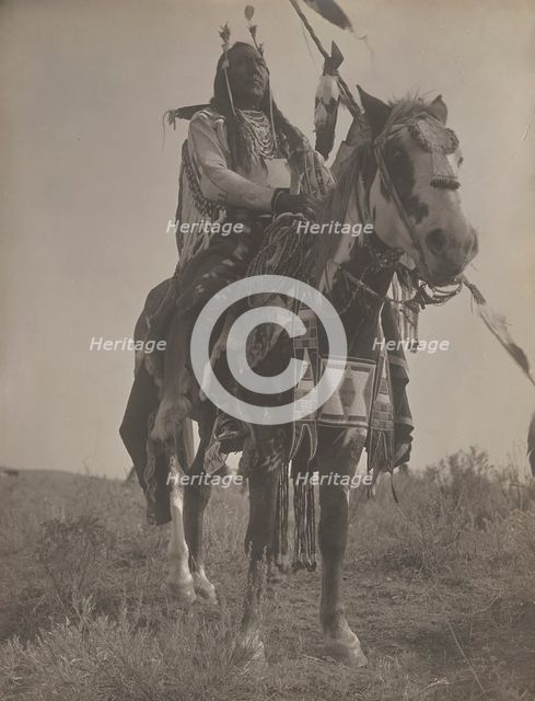 Bird On the Ground, 1908. Creator: Edward Sheriff Curtis.