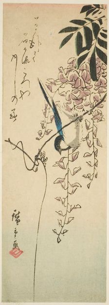 Bird on wisteria, n.d. Creator: Ando Hiroshige