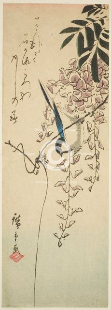 Bird on wisteria, n.d. Creator: Ando Hiroshige.