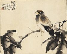 Bird on a branch, 1886. Creators: Unknown, Ren Yi