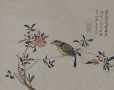 Bird on a Flowering Branch, 19th century. Creator: Unknown