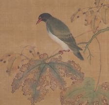 Bird on Branch. Creator: Unknown