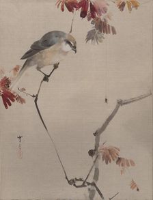Bird on Branch Watching Spider, ca. 1887. Creator: Watanabe Seitei
