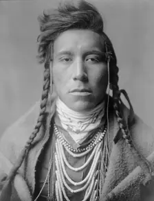 Bird on High Land, c1908. Creator: Edward Sheriff Curtis