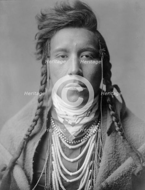 Bird on High Land, c1908. Creator: Edward Sheriff Curtis.