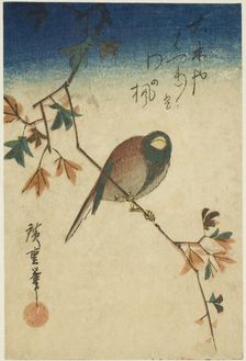 Bird on maple branch, 1830s-1840s. Creator: Ando Hiroshige