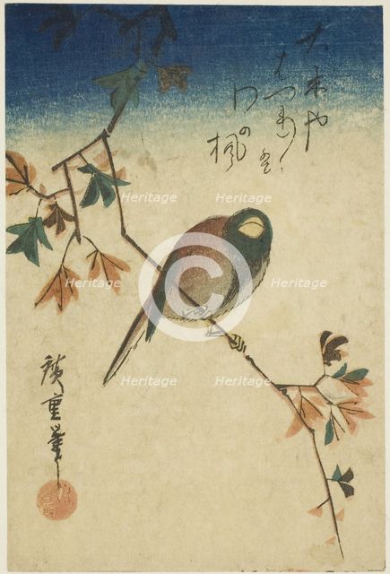 Bird on maple branch, 1830s-1840s. Creator: Ando Hiroshige.