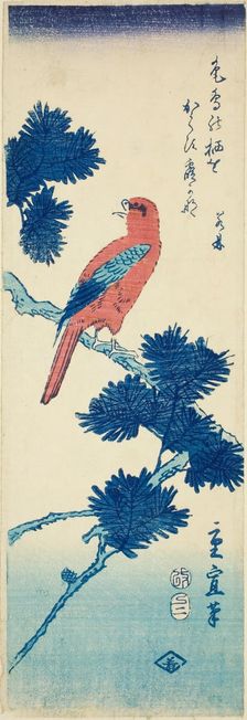 Bird on pine tree, 1857. Creator: Utagawa Hiroshige II