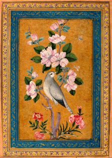 Bird Perching on a Blossoming Branch, 1696. Creator: Yusuf Zaman (17th century)