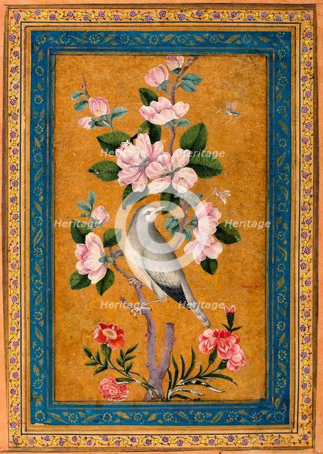 Bird Perching on a Blossoming Branch, 1696.  Creator: Yusuf Zaman (17th century).