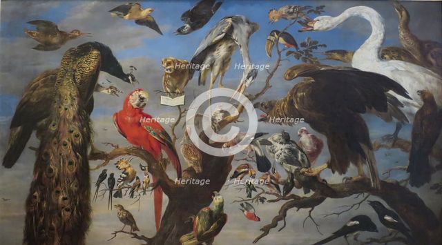 Bird's Concert, 1630. Creator: Frans Snyders.