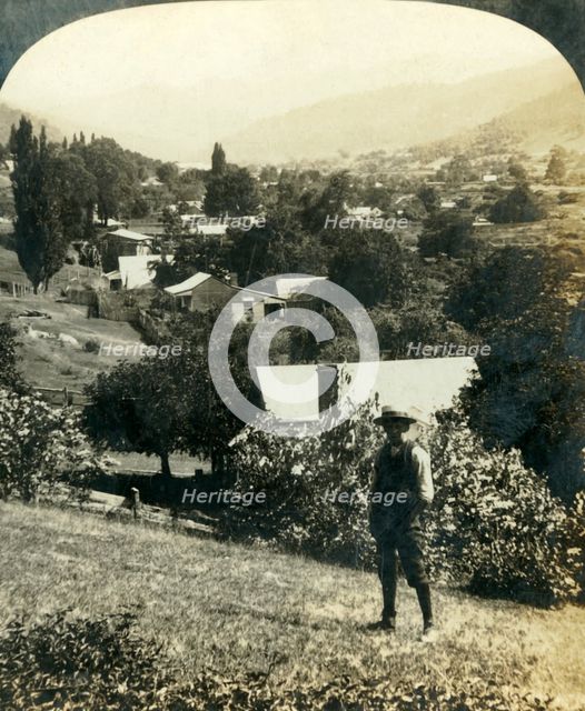 'Bird's-Eye View of Wandiligong, Victoria, Australia', c1909. Creator: George Rose.