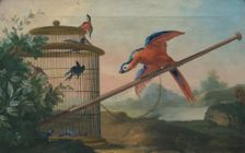 Birds, 1750s. Creator: Johan Pasch