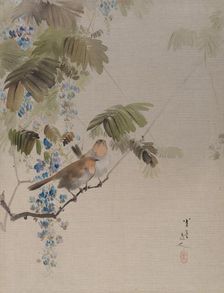 Birds and Flowers, ca. 1887. Creator: Watanabe Seitei
