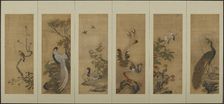 Birds and flowers, Edo period, 18th century. Creator: Unknown