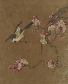 Birds and Flowers, Ming dynasty, 1368-1644. Creator: Unknown