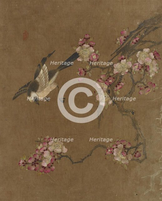 Birds and Flowers, Ming dynasty, 1368-1644. Creator: Unknown.
