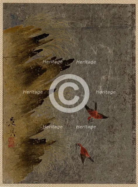 Birds and Jutting Rocks. Creator: Shibata Zeshin.