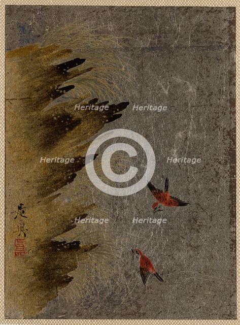 Birds and Jutting Rocks. Creator: Shibata Zeshin.