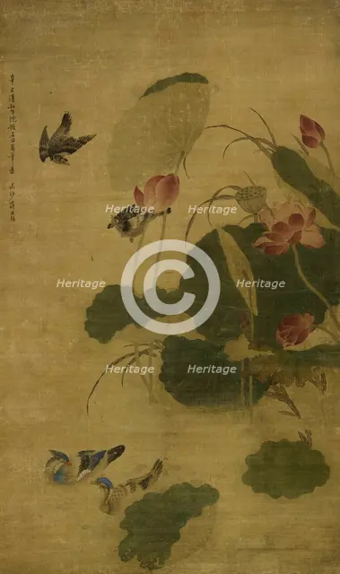 Birds and lotus, 1701. Creator: Jiang Tingxi.